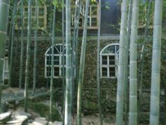 -东林大峡谷