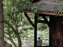 -桂湖森林公园