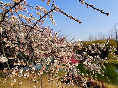 -白塘生态植物园