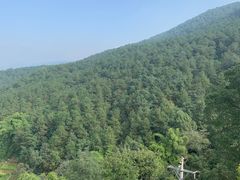 -铁山坪森林公园