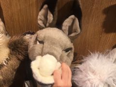 -泡泡玛特POPMART(苏州诚品生活店)
