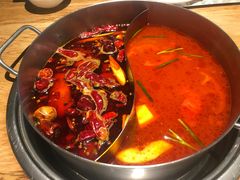 -青瓷火锅料理(西单大悦城店)