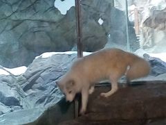 -广东省拱北口岸中国旅行社(华宾营业部)