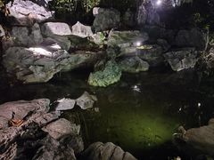 -英德宝晶宫天鹅湖茶语温泉