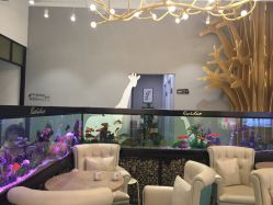 点击看大图 -可爱多国际儿童摄影会馆(龙泉店)