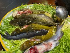 -悦硒楼·新派恩施菜