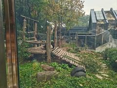 -黔灵山公园