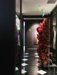 -鼎极摄影(世纪金源店)