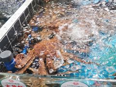 -巧克力渔家.小船海鲜胶东菜(万平口店)