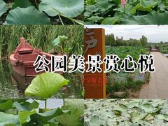 -前关湿地公园