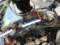 -争先鲜·蒸汽海鲜自助·鲜切牛肉