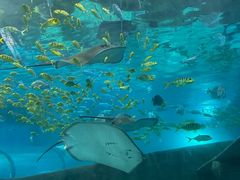 -福州罗源湾海洋世界旅游区