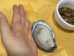-蚝专家(北滘店)