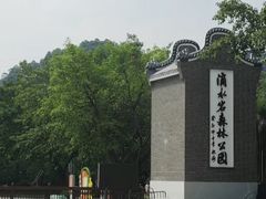 -滴水岩森林公园
