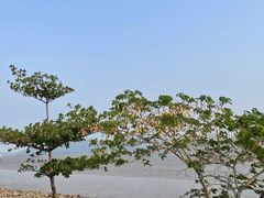 -深圳湾公园(南山区)