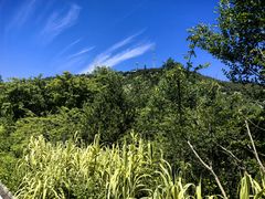 -佛慧山