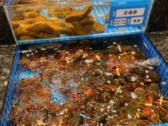 -东海怡品海鲜豆捞(星街坊店)