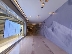 -港汇恒隆广场