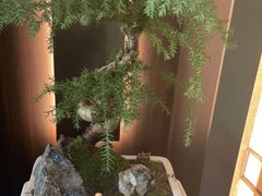 -大拙里·精致融合菜(沙湖桃源国际店)