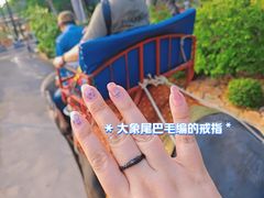 -东芭乐园