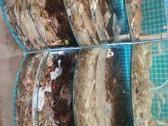 -蓝珊甄选海鲜自助·火锅大排档(近阿那亚店)