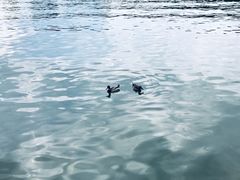 -四环冷面王(西单华威约饭街店)