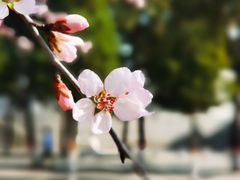 -东北大学(南湖校区)
