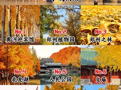 -河南省黄河迎宾馆