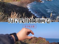 -涉地可支