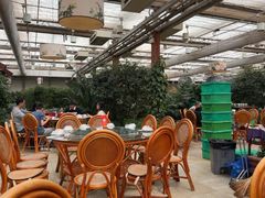 -春满园生态餐厅(南宫路店)