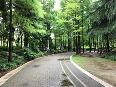 -苏州河梦清园环保主题公园