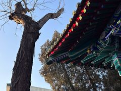 -贤良祠