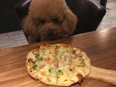 -百好乐宠物友好餐厅(朝外大街店)