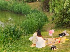 -白鹭湾湿地公园