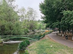 -长白岛森林公园