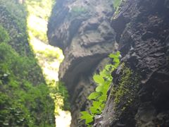 -南石洋大峡谷