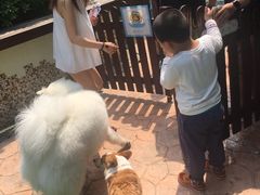 -汪说喵讲宠物乐园宠物酒店(红星美凯龙店)