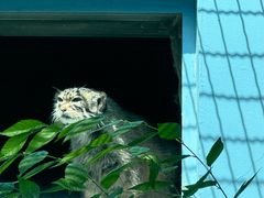 -青藏高原野生动物园