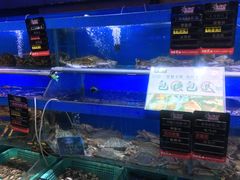 水产区-船梆煮•蒸汽海鲜·炉火烤肉(五四广场店)