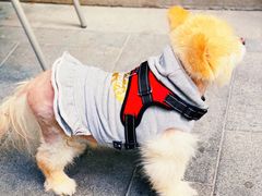 景观位-Wagas沃歌斯(大学路店)