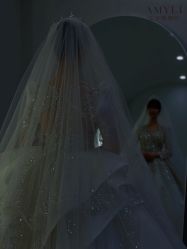 -艾米丽婚纱礼服