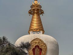 -护国法轮寺