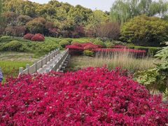 -贡湖湾湿地公园