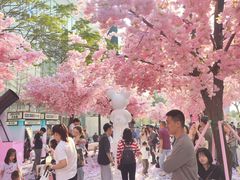 -东莞松山湖万象汇