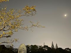 -宁波儿童公园(鄞州区)