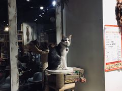 -小时光咖啡馆(开森度假森林店)
