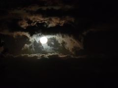 -春花秋色城市公园