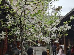 -清真天水老巷道餐厅