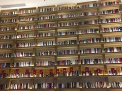 -深影国际影城(学院南路店CGS中国巨幕店)