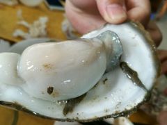 生蚝88蚊一哒-蚝专家(北滘店)